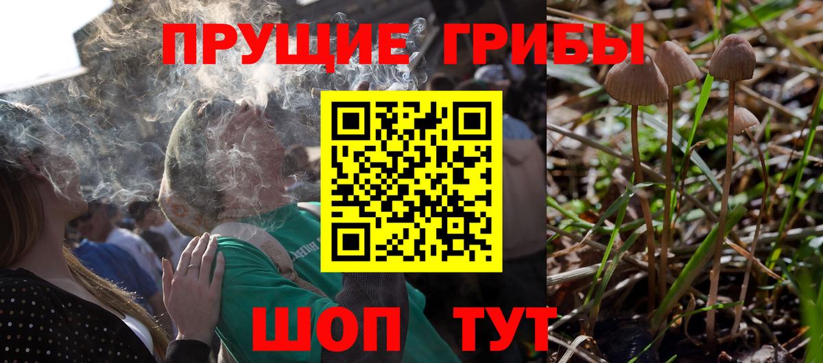Крымск  Галлюциногенные грибы Cubensis  Вход с VPN  Галлюциногенные грибы Cubensis 