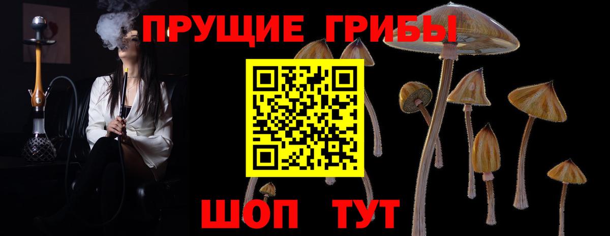 Галлюциногенные грибы GOLDEN TEACHER Крымск